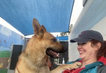 Adoptable Pet of the Week: Zane