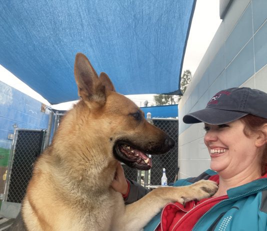 Adoptable Pet of the Week: Zane