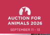 Volunteers of the Burbank Animal Shelter to Hold Annual Online Auction for Animals