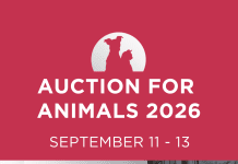 Volunteers of the Burbank Animal Shelter to Hold Annual Online Auction for Animals