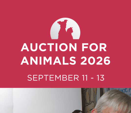 Volunteers of the Burbank Animal Shelter to Hold Annual Online Auction for Animals