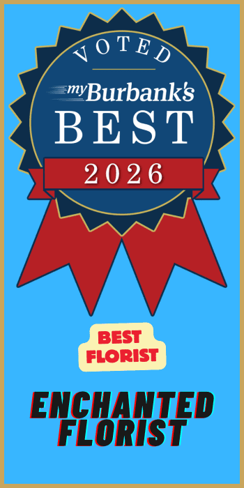 MBB2026