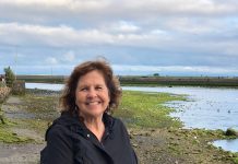 Rosy Hungerford, Saint Finbar Teacher, Vice Principal Retires