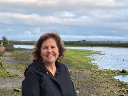 Rosy Hungerford, Saint Finbar Teacher, Vice Principal Retires