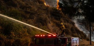 Brush Fire Breaks Out After Vehicle Crash on Harvard