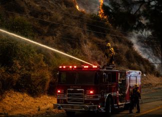 Brush Fire Breaks Out After Vehicle Crash on Harvard