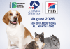 50% Off Adoptions at the Burbank Animal Shelter
