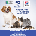 50% Off Adoptions at the Burbank Animal Shelter