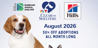 50% Off Adoptions at the Burbank Animal Shelter