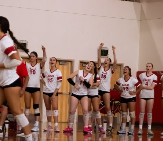 Girls Volleyball Preview: Burroughs, Burbank, Providence Hope To Shine
