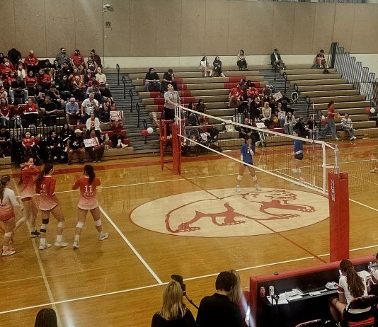 Burroughs Girls Volleyball Takes Out Burbank in Three Sets
