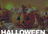 Opening Your Door to Trick-or-Treaters? Make Sure Your Dog Isn’t First