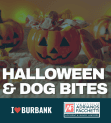 Opening Your Door to Trick-or-Treaters? Make Sure Your Dog Isn’t First